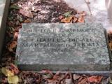 image of grave number 965761